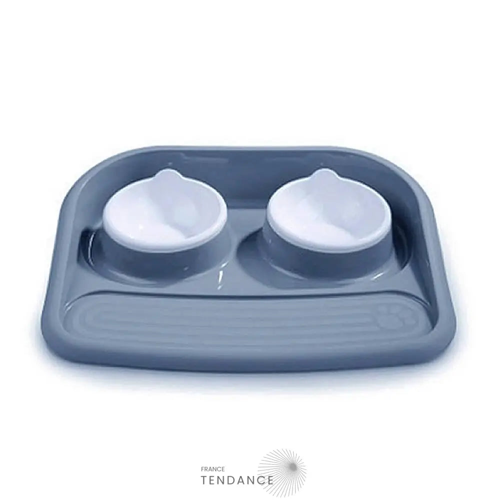 Double Gamelle Avec Plateau Pour Chat Et Chiot |