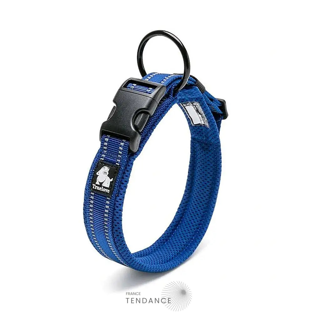 Collier Lumineux Réfléchissant Pour Chien | France-Tendance