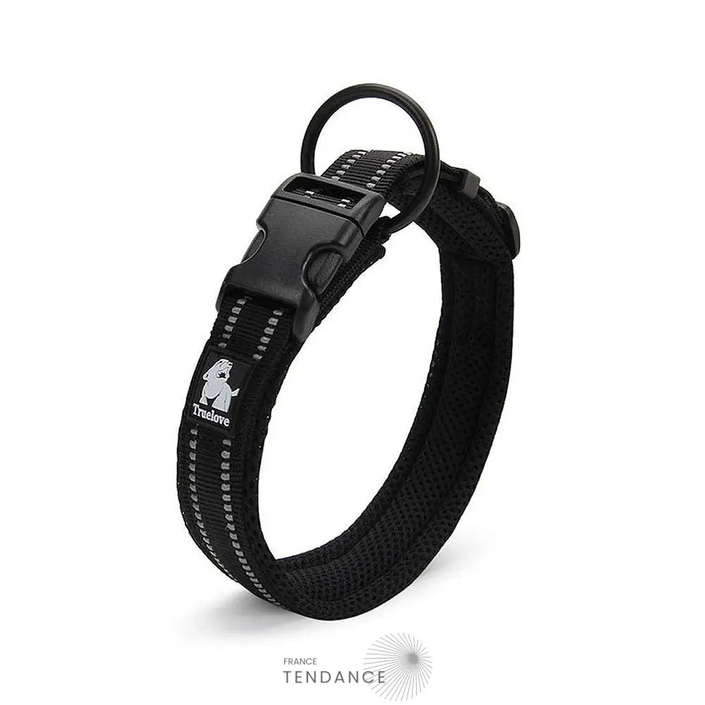 Collier Lumineux Réfléchissant Pour Chien | France-Tendance