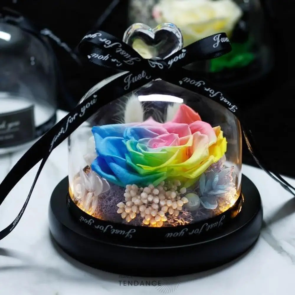 Rose Eternelle Sous Cloche Led Multicolore | France-Tendance